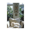 The White Cat