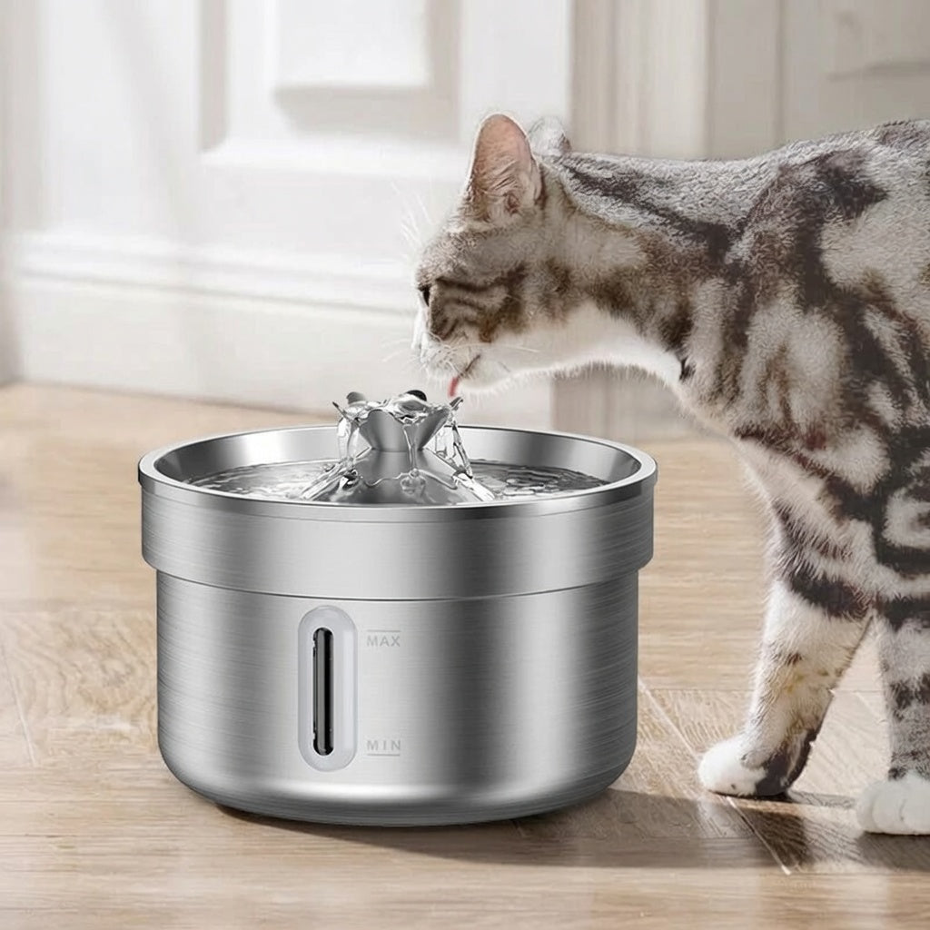 Spring Cat Water Fountain