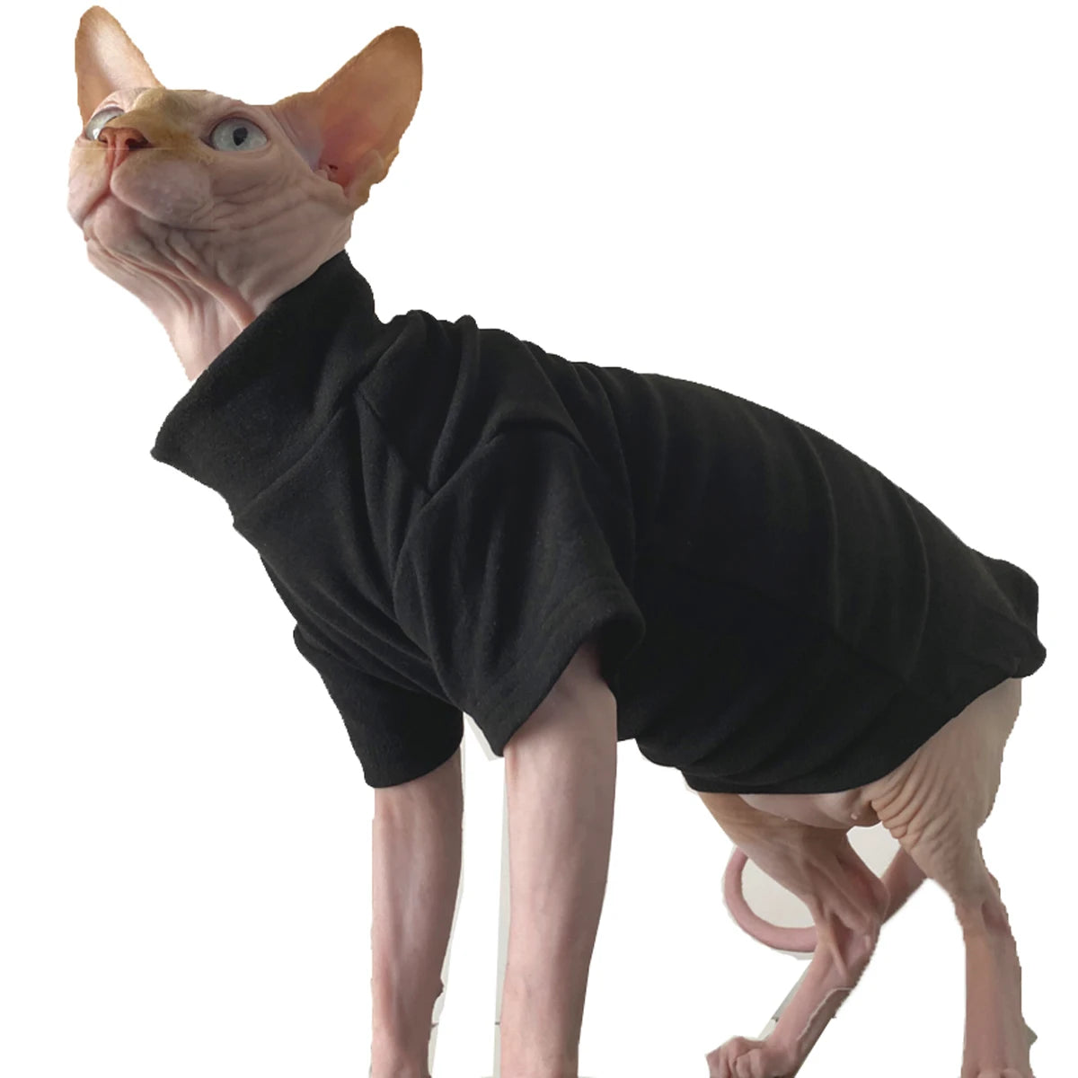 Sphynx Roman Tam Fleece Vest & Coat