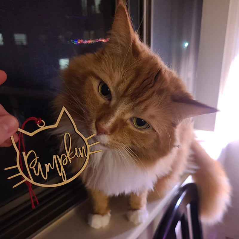 Personalized Cat Christmas Ornament