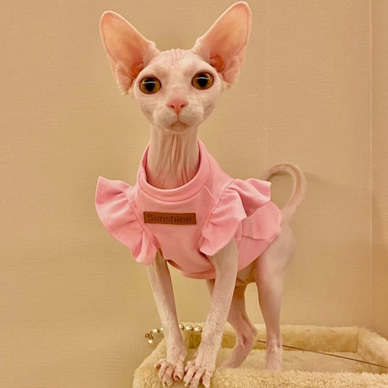 Sphynx Ruffle Sleeve Dress