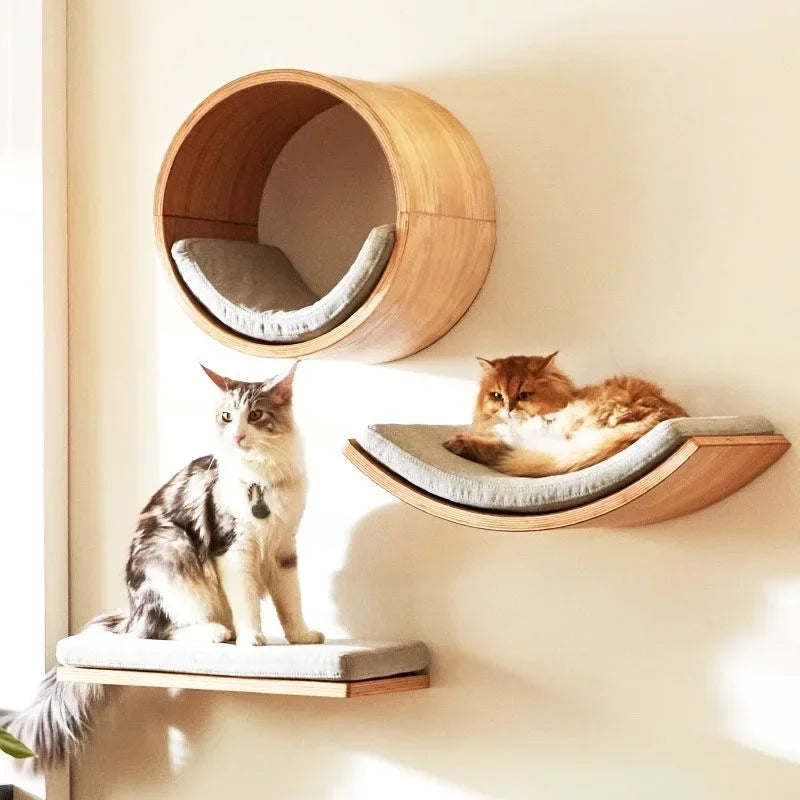 Wall Cat Shelves