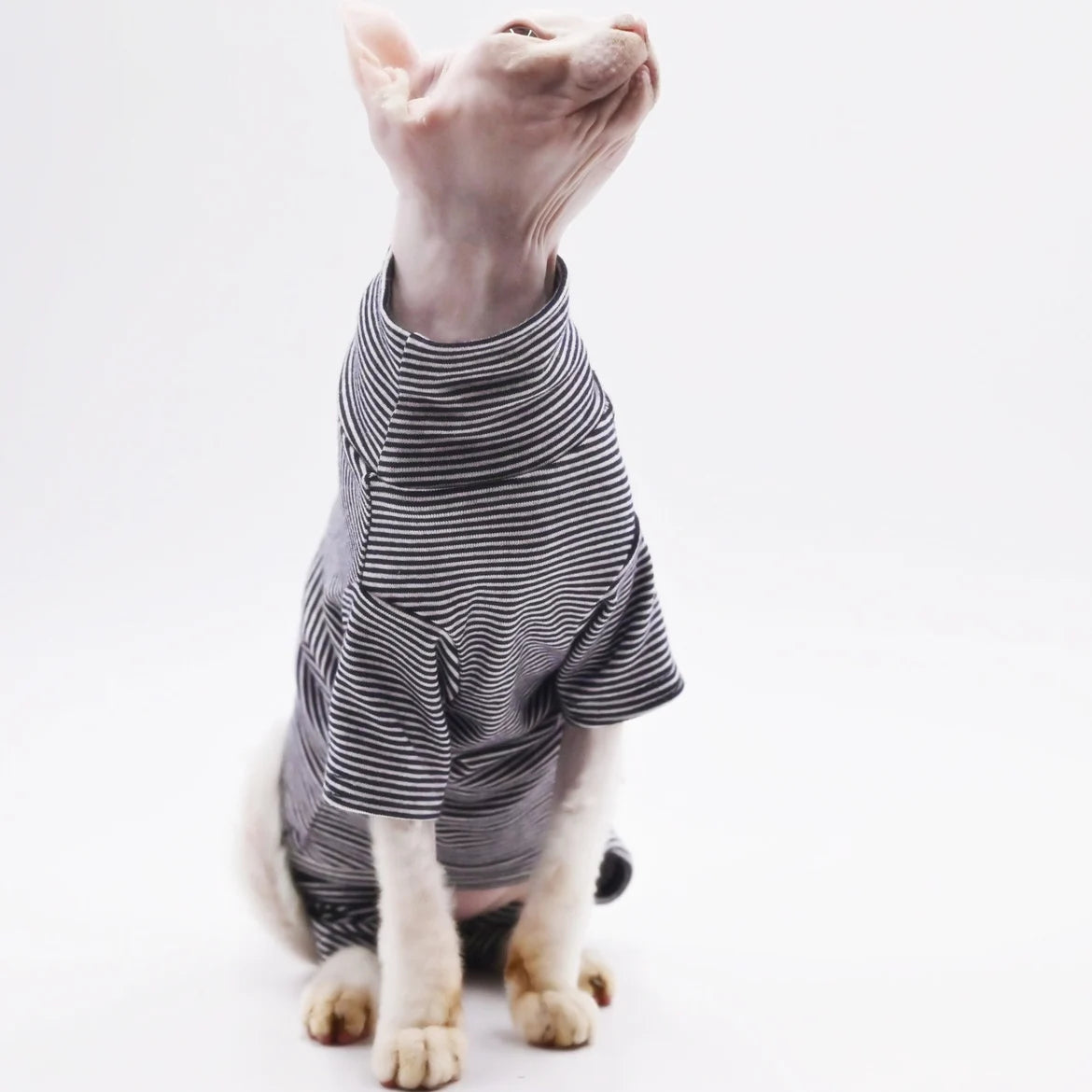 Sphynx Stripe Jumpsuit