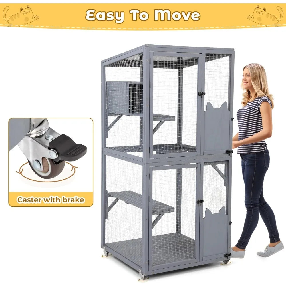 Catio
