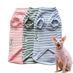 Sphynx Fitted Tee