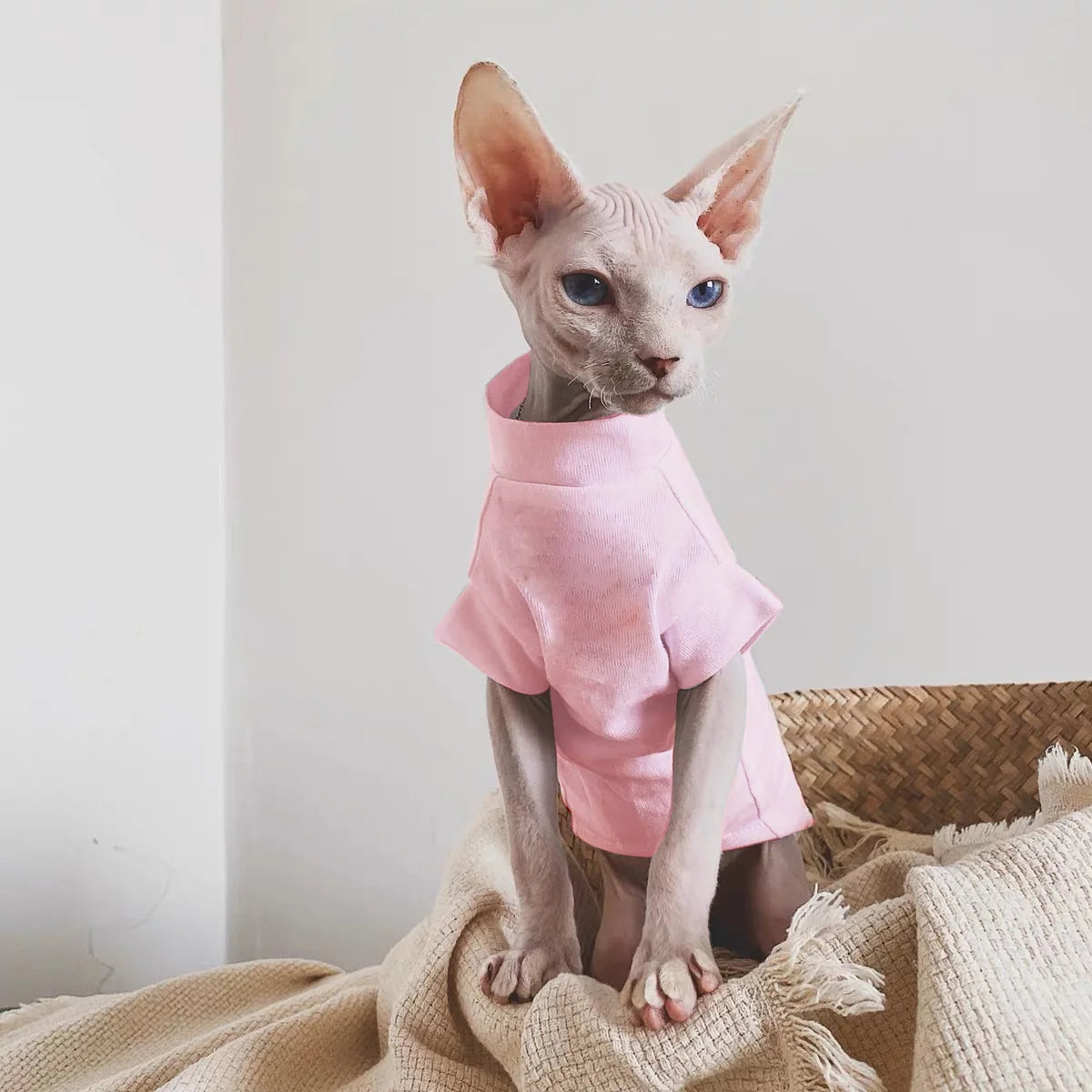 Sphynx Cotton Vest