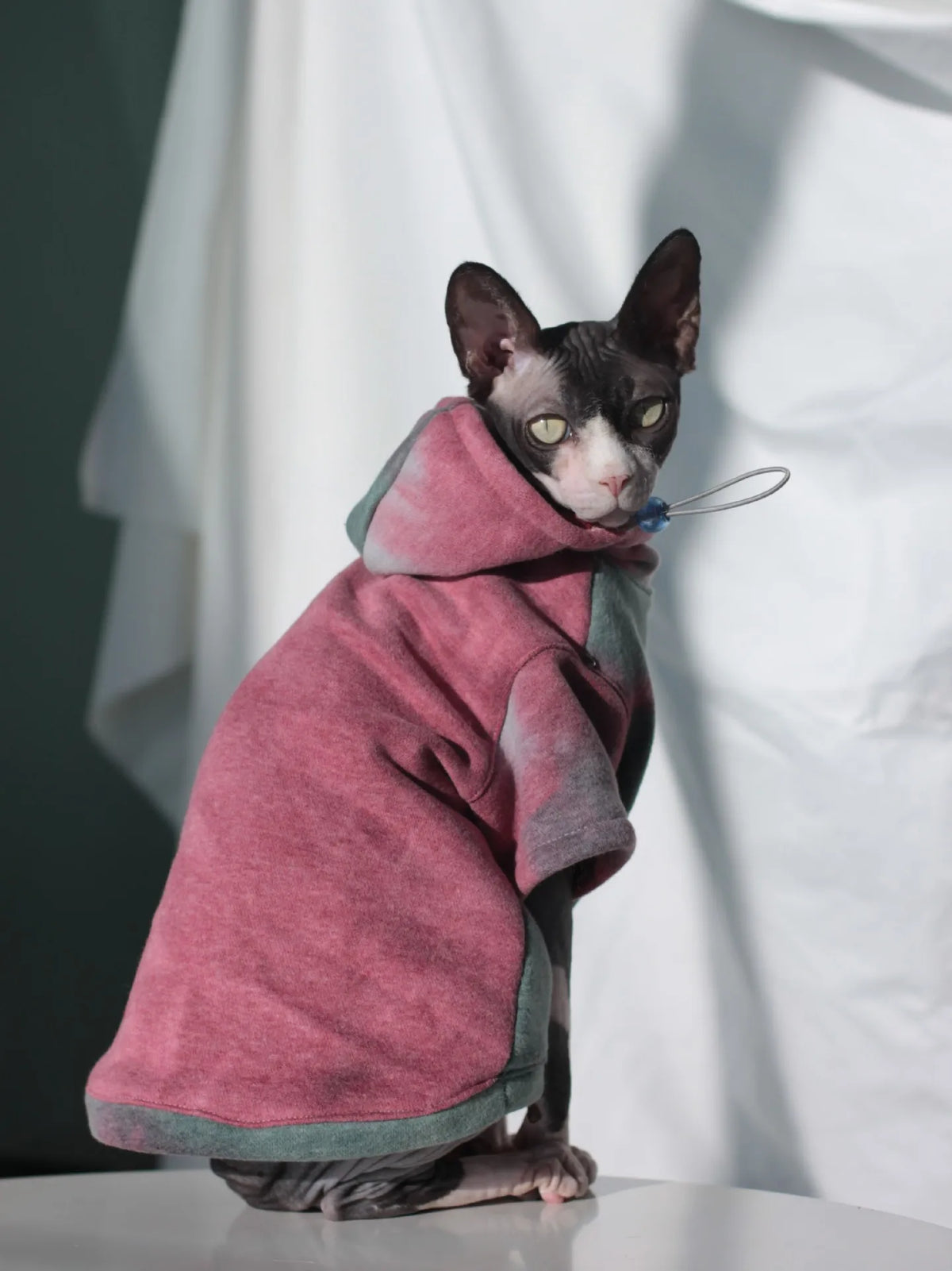 Sphynx Color-Block Fleece Hoodie