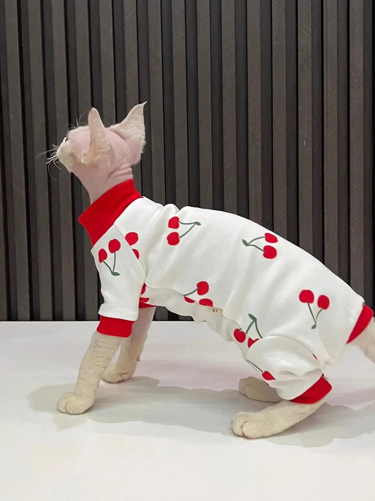 Sphynx Cherry Jumpsuit