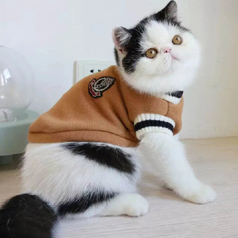 Cat Varsity Sweater