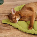 Leaf Pet Cushion