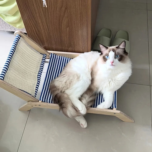 Beach Chair Bed