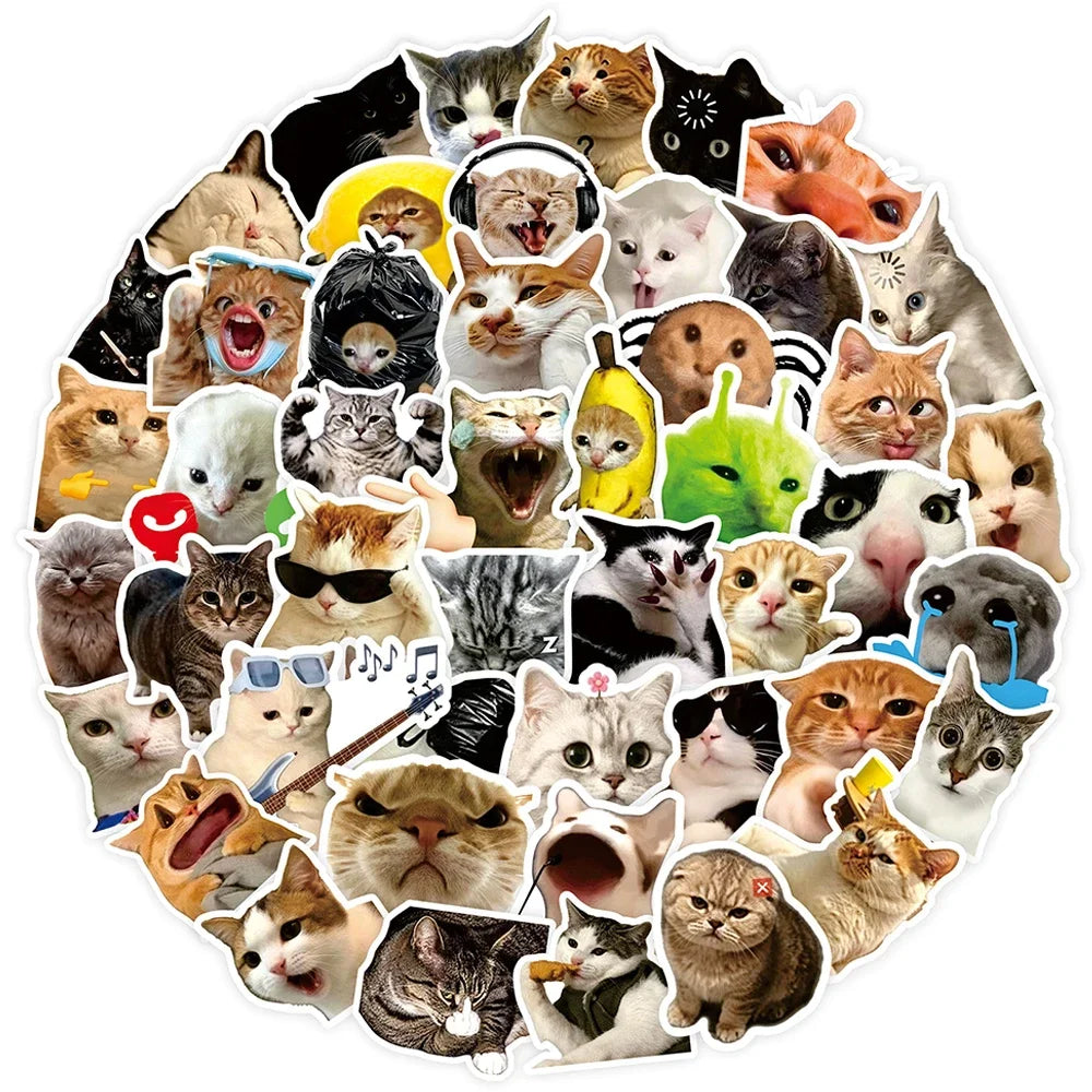 Cat Meme Stickers