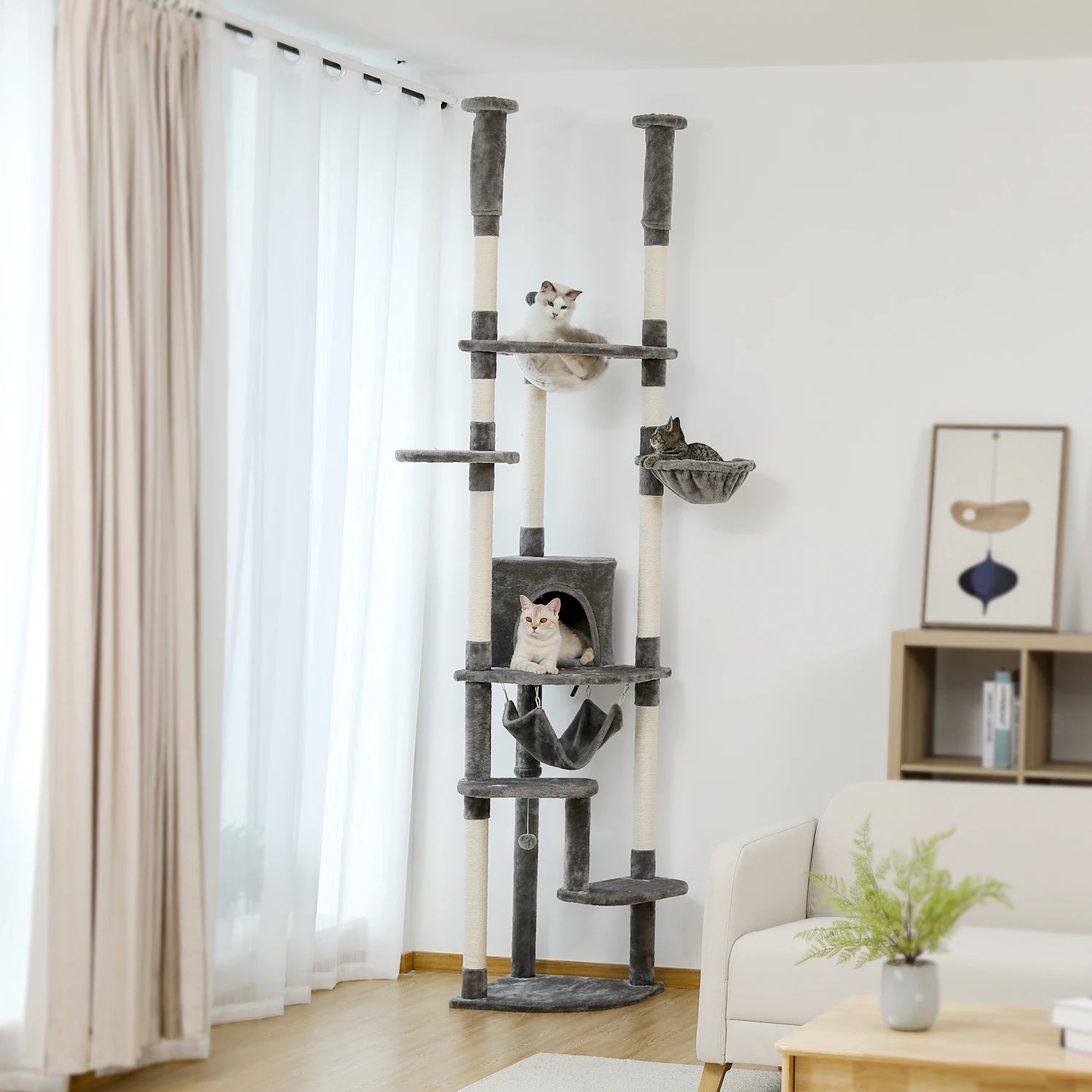 Apex Cat Tower