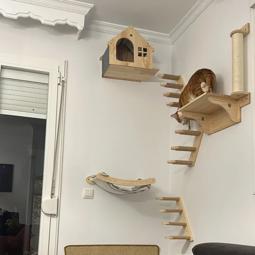 Wall Cat Shelves