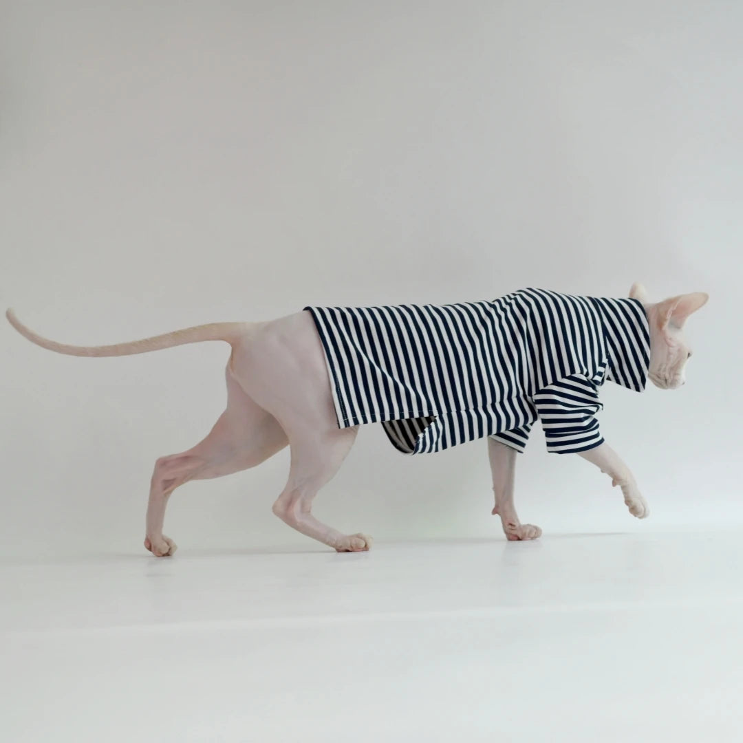 Sphynx Striped Summer Tee