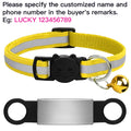 Custom Engraved Cat Collar with Bell
