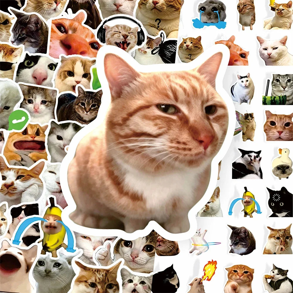 Cat Meme Stickers