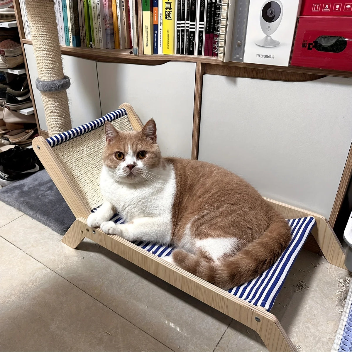 Beach Chair Bed
