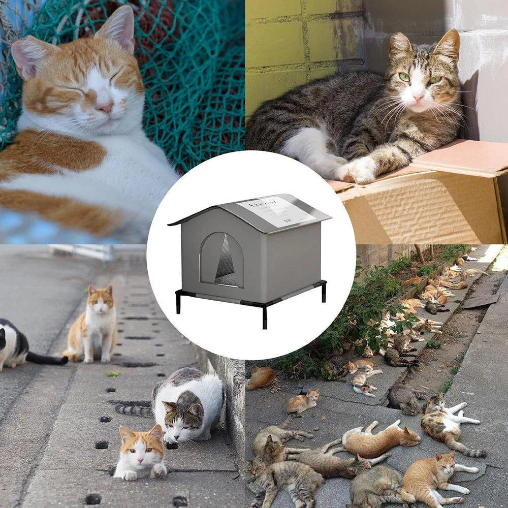 Shelter Outdoor Cat House