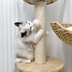 3-Tier Cat Tree | Plush Perches, Sisal Scratching Posts & Cozy Kitten Condo