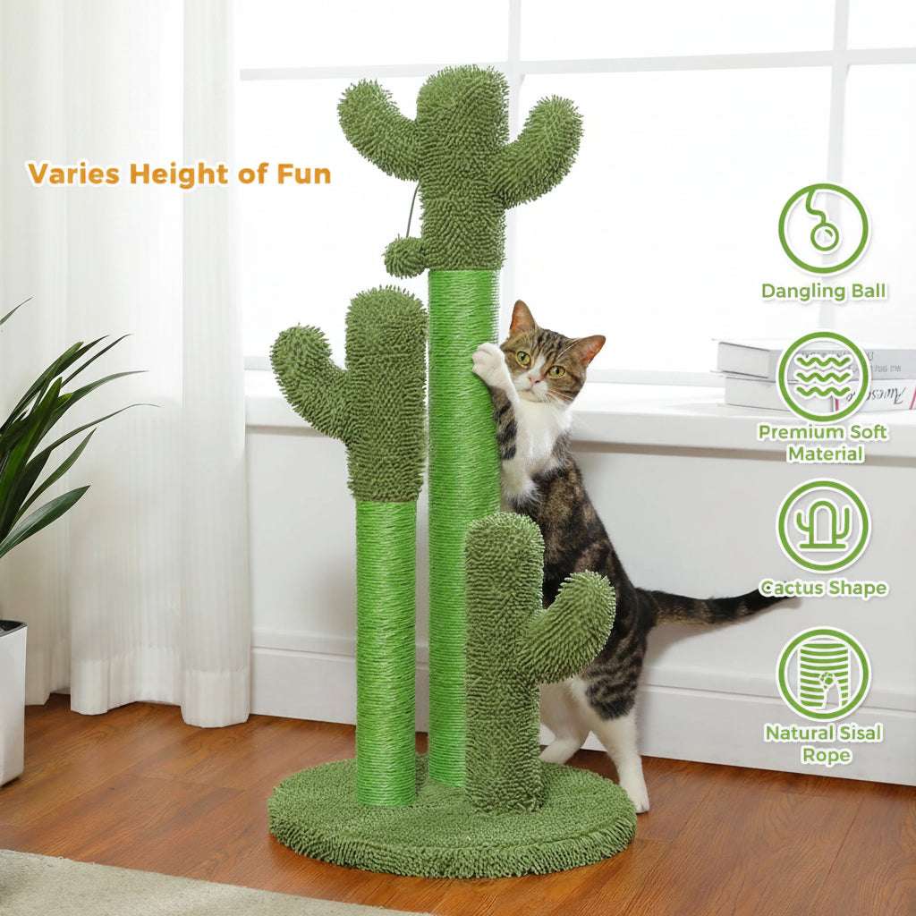 Cactus Scratcher