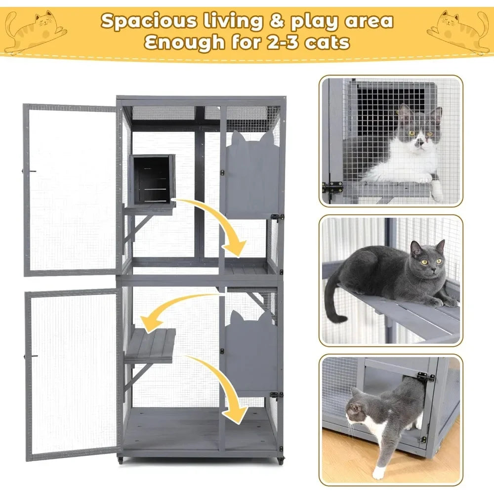 Catio